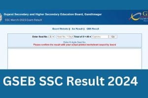 रिजल्ट – गुजरात बोर्ड: लंबे इंतजार के बाद गुजरात बोर्ड (GSEB) ने आज 10 वीं का परिणाम घोषित कर दिया।
