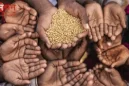 Global Hunger Index Report 2024: भारत 2024 वैश्विक भूख सूचकांक में 105वें स्थान पर, हमसे बेहतर श्रीलंका, बांग्लादेश और नेपाल।