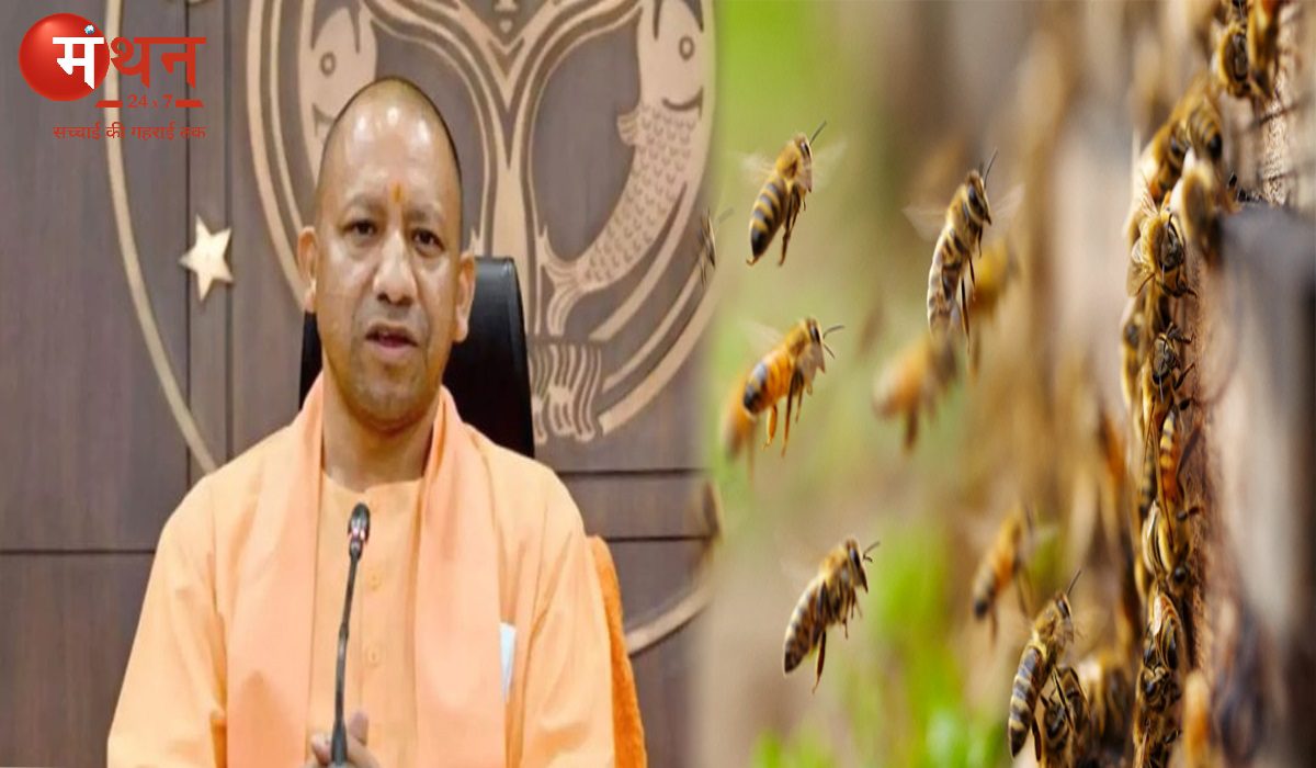 उत्तरप्रदेश में अब जानवरों और मधुमक्खियों के हमले भी माने जाएंगे राज्य आपदा, हमले में मृतक के परिवारीजनों को सरकार देगी मुआवजा।