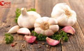 लहसुन खाने के फायदे