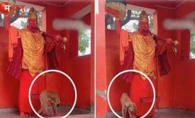 नगीना कुत्ता मंदिर परिक्रमा