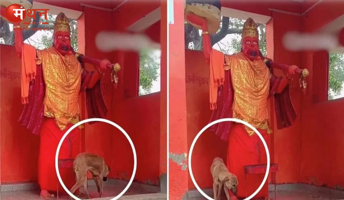 नगीना में रहस्यमयी घटना: 5 दिन से मंदिर की परिक्रमा कर रहा कुत्ता, लोग मान रहे भैरवबाबा का अवतार