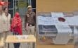 बिस्तर के नीचे छुपाया था लाखों का माल, 30 लाख के गहने चोरी कर फरार नौकरानी दिल्ली पुलिस के हत्थे चढ़ी