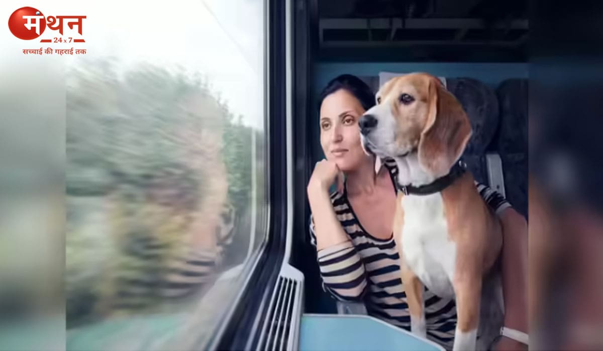 हवाई सफर में अब साथ ले जा सकेंगे पालतू कुत्ते-बिल्ली, सरकार ने एयरलाइंस को नई ‘पेट पॉलिसी’ बनाने के दिए निर्देश