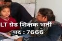 यूपी एलटी ग्रेड असिस्टेंट टीचर मुख्य परीक्षा के लिए आवेदन का आज अंतिम मौका, 7466 पदों पर भर्ती