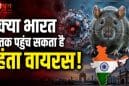 क्या कोरोना जैसी नई तबाही ला सकता है हंतावायरस? WHO की चेतावनी के बाद बढ़ी चिंता, जानिए कितना बड़ा है खतरा